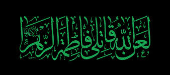 محمدرضا بذری دوباره فاطمیه